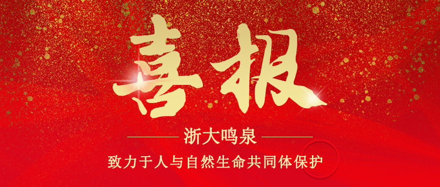 浙大完美（中国）一站式服务官网顺利通过安全生产标准化三级企业验收复审